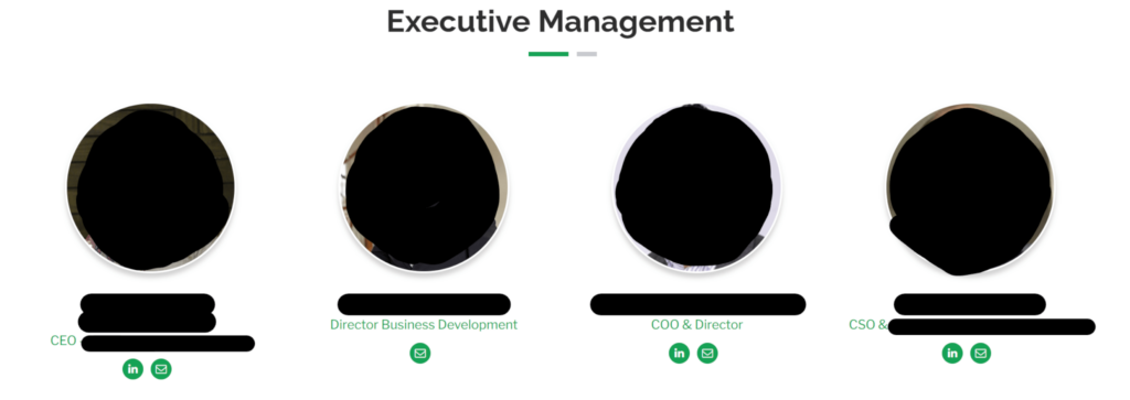 Executive management